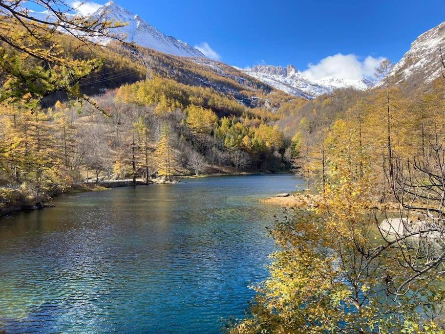 Appartamento Lou Touas Dou Lamet A Moncenisio Dış mekan fotoğraf